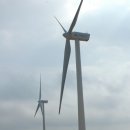 서경목장 이미지