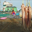 생선나라 이미지