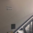 씨유(CU)신사강남점 | 논현역 파티룸 영글 강남스터디룸 신사역 근처 회의실 장소 대여 추천