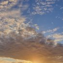 제주플래티늄카라반 이미지