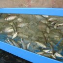 무지개약국 이미지