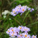 농업회사법인㈜명품 이미지