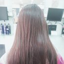 핑크머리방