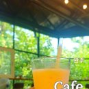 홍시먹으러곶감 이미지