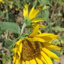 월포마을 이미지