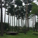 온수근린공원 이미지