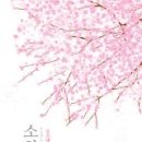 궁 이미지