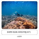 필리핀 두마게티 ‘두바하 리조트’ 프리다이빙 투어 후기 (배 컨디션, 도시락)