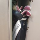 골프존파크진건배양스크린 | 남양주 스크린골프 골프존파크 진건 배양스크린