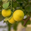 동아대학교병원 이미지