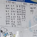 속초 동명항 포장마차거리｜아지트｜웨이팅｜꽃새우/닭새우/도화새우 가격｜전현무계획