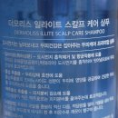 지루성두피염 샴푸: 더모리스 일라이트 스칼프케어 샴푸 사용후기
