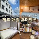 애월펜션 | 제주 4인 숙소 애월 조식 펜션 혼디펜션 상세 후기 대만족