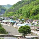 구매리 산옹초려(九梅里 山翁草廬) 네이버블로그