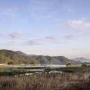 경안천습지생태공원 이미지