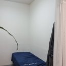 답십리30 이미지