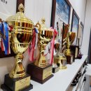 용인대 대동 태권도 이미지