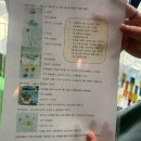 솔솔글라