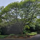 제주민속촌 이미지