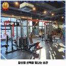 펫마트신암로점 | 신암5동 헬스장 애티튜드짐 리뷰와 주차, 예약, 1순위 바로 이 곳입니다.