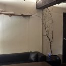 해이커피 - 65468 | [용산 카페] 해이 커피앤바 후기｜한옥 개조 분위기 좋은 카페 겸 위스키바