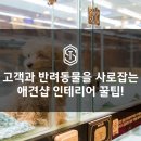 스마테리어 이미지