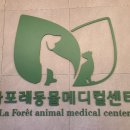 라포레동물메디컬센터 이미지