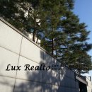 강남-274 이미지