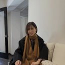 데일리브라운 이미지