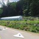 뉴서울농장2 이미지