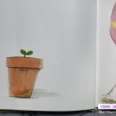 쑥쑥 책과함께자라요 이미지