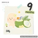 31140-9-32-5 | [임신일기] 31주~32주 출산전 아기옷 빨래, 만삭사진 촬영