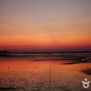 무안황토갯벌랜드 전시실 이미지