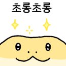 파충류샵 스마일게코 네이버블로그