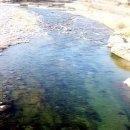 수입천계곡펜션 이미지