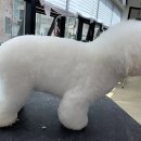 강아지미용실 정독 이미지