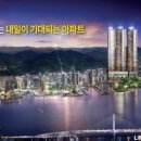 더오션 네이버블로그