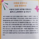 라비타벨라 | 내 삶에 예술을 들일 때 니체, 고통 속에서 아모르파티를 외치다 (ft. 쇼펜하우어, 바그너 결별 이유)