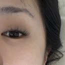 연신내 속눈썹 잘하는곳 ✨ 하니뷰에서 스모키 속눈썹 연장 후기.