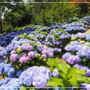 장생포로 이미지