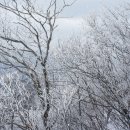 대성초삼거리 이미지