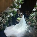다후 | [연세동문회관] 다후니의 소울메이트 춘현이부케받기🎉