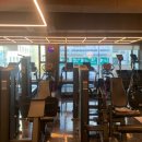 에스투짐 이미지