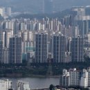 엘지메디칼 이미지