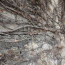 향교옆길 이미지