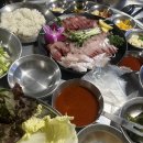[춘천] 애막골 술집 딱새우회 맛집 | 춘천 회초리