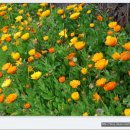 용수마을회관 이미지