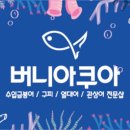 버니아쿠아