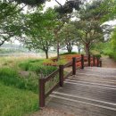 마리올라 이미지