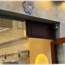 강남고양이분양 호야캣 이미지